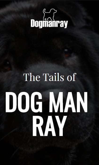 The Dog Man Ray Stories