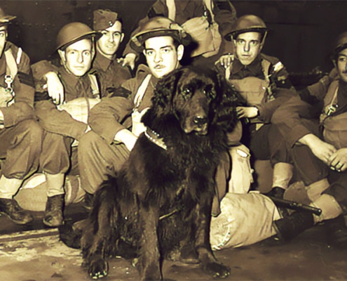 Sergeant Gander, the heroic Newfoundlander with his army pals