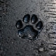 Dog's paw print in freshly laid tar on a road