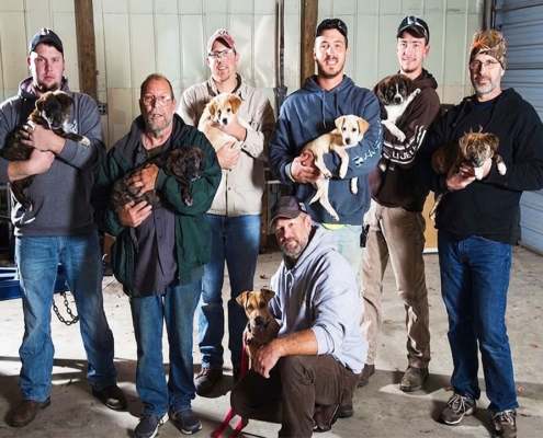 Groomsmen with Annie's puppies