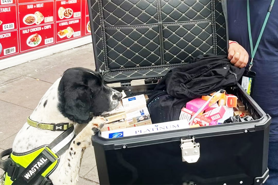 Skye and Trading Standards inspecting contraband in a bike box