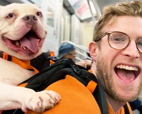 Bryan Reisburg on the subway with a dog in his backpack