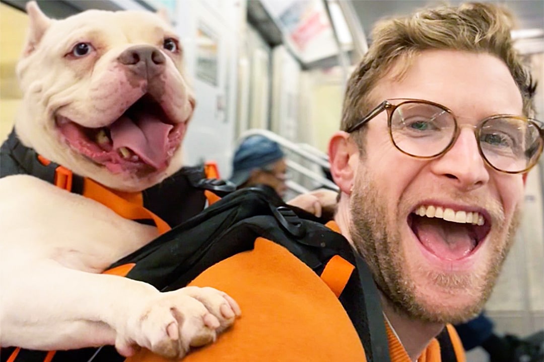 Bryan Reisburg on the subway with a dog in his backpack