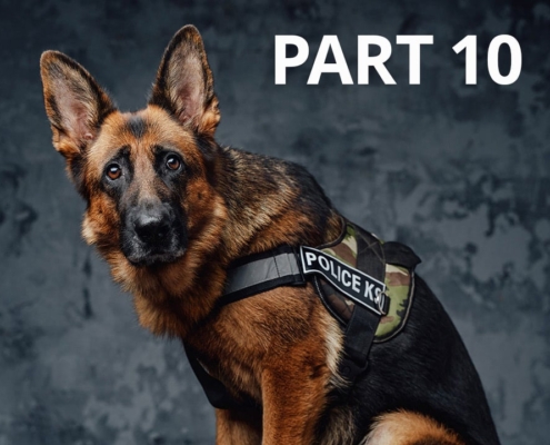 Part 10 in the police dog series by Dog Man Ray