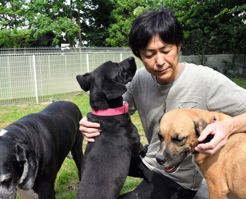 Hirotaka Saito at the Wansfree Canine Rescue with three of the dogs
