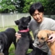 Hirotaka Saito at the Wansfree Canine Rescue with three of the dogs