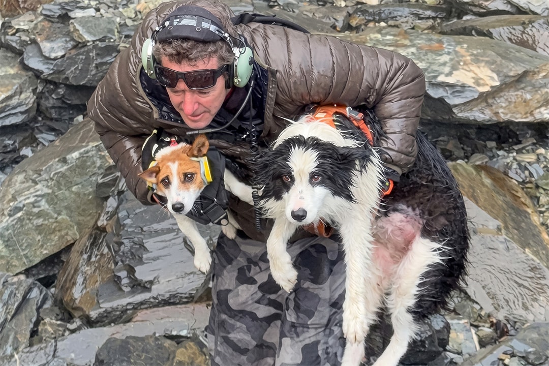 Molly being rescued