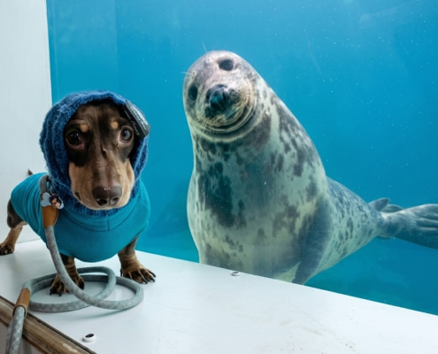 Aayla and Stanley together