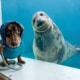 Aayla and Stanley together