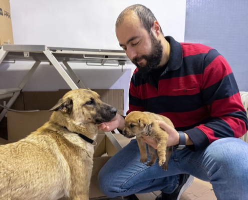 Vet, Baturalp Oghan, with the mother and puppy