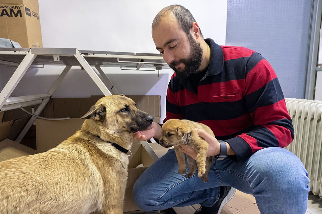 Vet, Baturalp Oghan, with the mother and puppy
